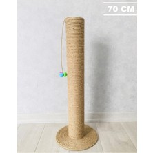 Feyza Design Geniş 70 cm Kedi Tırmalama Tahtası ve 10 cm Tırmalama Platformu