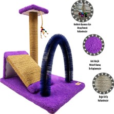 Feyza Design Kedi Tırmala, Rampası ve Fırçası 3'lü Set Hediye Paket