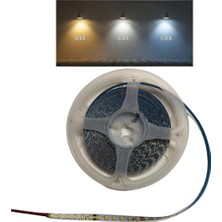 Powerr Led Aydınlatma 2835 Smd 180 Ledli 3 Renk (6500K-4000K-3000K) Sabit Akım Avize Şerit Ledi 8mm 5 Metre