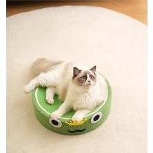 Feyza Design Renkli ve Eğlenceli Kedi Tırmalama Alanı, Güçlü ve Dayanıklı Tasarım