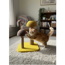 Feyza Design Yumuşak ve Dayanıklı Kedi Tırmalama Taşı, Eğlenceli ve Sağlıklı Kullanım