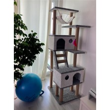 Feyza Design Konforlu ve Eğlenceli Yuva ve Oyun Platformu Kedilere Özel