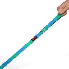 TailPetz Kedi Köpek Sevk & Gezdirme Kayışı Amazon