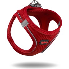 TailPetz Air-Mesh Yumuşak ve Nefes Alabilir Kedi Köpek Göğüs Tasması - Dayanıklı Kırmızı Renkli