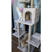 Feyza Design Kedi Tırmalama ve Oyun Merkezi, Konforlu Hamaklı Yuvalı Tasarım