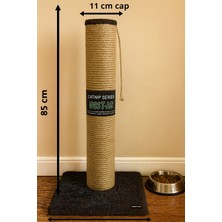 Feyza Design 85 cm Genişlikte, Katnipli Kedi Tırmalama Tahtası, Rahat ve Dayanıklı