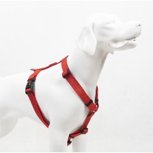 TailPetz Prısm H-Tipi Ayarlanabilir Göğüs Tasması Konforlu ve Dayanıklı Kullanım Amacıyla