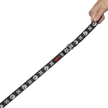 TailPetz Kedi Köpek Sevk & Gezdirme Kayışı Boo