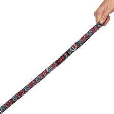 TailPetz Kedi Köpek Sevk & Gezdirme Kayışı Graffıtı