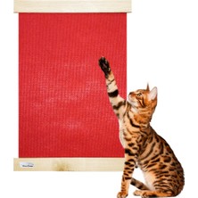 Feyza Design Doğal Ahşap Kedi Tırmalama Paneli 55X40CM, 2 Renk, Duvara Monte
