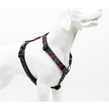 TailPetz Graffıtı H-Tipi Göğüs Tasması Ayarlanabilir, Konforlu ve Dayanıklı Desenli Köpek Tasması