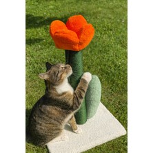 Feyza Design Renkli Lale Tasarımlı Kedi Tırmalama Tahtası, Eğlenceli ve Şık Tasarım