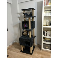Feyza Design Yüksekliği Ayarlanabilir Kedi Tırmalama ve Oyun Evi, Eğlence Dolu Alan