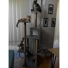 Feyza Design Çok Katlı Yuvalı Kedi Tırmalama ve Oyun Platformu, Eğlence ve Egzersiz
