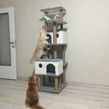 Feyza Design Renkli Tırmalama Evi ve Oyun Platformu, Eğlenceli ve Rahat Tasarım