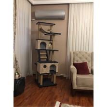 Feyza Design Renkli Kedi Tırmalama Evi ve Oyun Platformu, Eğlence ve Konfor Sağlar