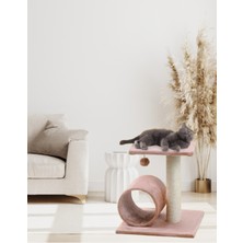 Feyza Design Renkli ve Eğlenceli Kedi Tırmalama Oyuncağı ve Evi Seti