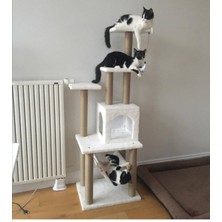 Feyza Design Rahat ve Eğlenceli Kedi Tırmalama Evi ve Oyun Platformu