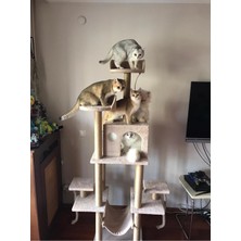 Feyza Design Yüksekli ve Tasarımıyla Kedinizin Eğlence ve Dinlenme Alanı