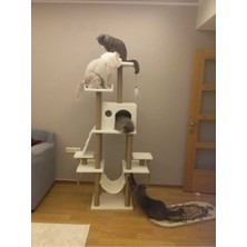 Feyza Design Rahat ve Eğlenceli Kedi Tırmalama Evi ve Oyun Platformu