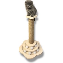 Feyza Design Renkli Kedi Oyun ve Tırmalama Tahtası, Eğlence ve Egzersiz Için Ideal