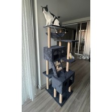 Feyza Design Renkli ve Eğlenceli Kedi Tırmalama ve Oyun Evi Seti