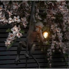 İki Cadı Tasarım Avize Maymun, Elektrik Tesisatıyla Gönderim