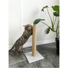 Feyza Design 50CM Tırmalama Tahtası, Kedi ve Köpekler Için Eğlenceli Oyuncak