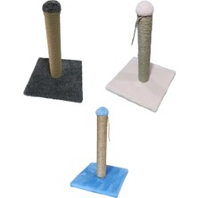 Feyza Design 40 cm Renkli Kedi Tırmalama Tahtası, Eğlenceli ve Dayanıklı Tasarım