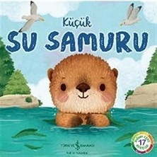 İş Bankası Kültür Yayınları Küçük Su Samuru - Doğanın Eşsiz Hikayeleri 17 + Büyük Macera + Charlie'nin Çikolata Fabrikası + 16 Kitap