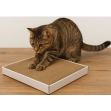 Feyza Design Dayanıklı 30X38X5 cm Kedi Tırmalama Kartonu, 25 Katmanlı, Uzun Ömürlü
