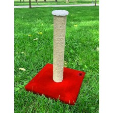 Feyza Design Yumuşak ve Dayanıklı 30X30 cm Kedi Tırmalama Platformu, 45 cm Yükseklik