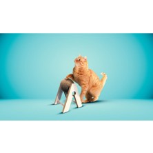 Feyza Design Renkli Kedi Tırmalama Topu, Eğlenceli ve Dayanıklı Tasarım