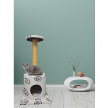 Feyza Design Renkli ve Eğlenceli Kedi Tırmalama Oyuncağı ve Evi Seti