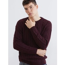 LC Waikiki Xsıde Bordo Bisiklet Yaka Erkek Triko Kazak