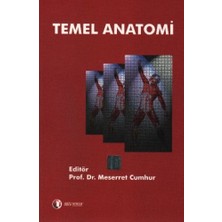 Temel Anatomi
