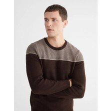 LC Waikiki Lcwaıkıkı Classic Kahverengi Bisiklet Yaka Renk Bloklu Erkek Triko Kazak