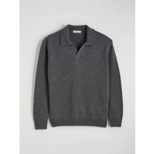 LC Waikiki Lcw Vision Antrasit Polo Yaka Erkek Triko Kazak