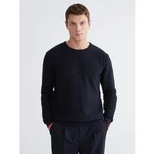 LC Waikiki Lcw Vision Lacivert Bisiklet Yaka Erkek Triko Kazak