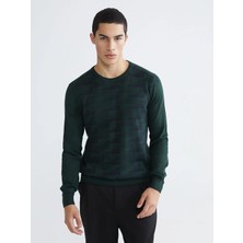 LC Waikiki Xsıde Yeşil Bisiklet Yaka Desenli Erkek Triko Kazak