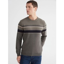 LC Waikiki Lcwaıkıkı Classic Yeşil Bisiklet Yaka Çizgili Erkek Triko Kazak