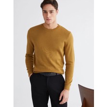 LC Waikiki Lcwaıkıkı Classic Kahverengi Bisiklet Yaka Erkek Triko Kazak