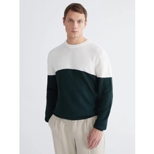 LC Waikiki Lcw Vision Yeşil Bisiklet Yaka Renk Bloklu Erkek Triko Kazak