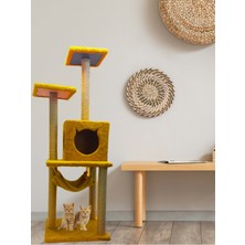 Feyza Design Renkli Yuvalı Kedi Tırmalama Oyuncağı ve Evi, Eğlence ve Konfor Sağlar
