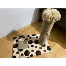 Feyza Design Doğal ve Eğlenceli Kedi Tırmalama Tahtası, Sağlıklı Tırmalama Deneyimi