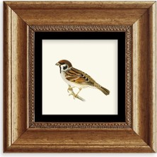 Mbb E-Ticaret Daldaki Serçe Çerçeveli Taş Tablo