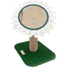 Feyza Design Yumuşak ve Dayanıklı 43 cm Papatya Tırmalama Tahtası