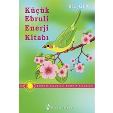 Küçük Ebruli Enerji Kitabı