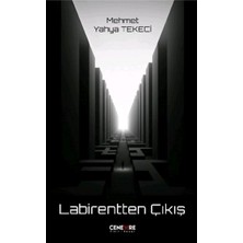 Labirentten Çıkış