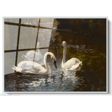 Tablonhazır Çerçeveli Yatay Cam Tablo Salon Duvar Tablosu Yatay Cam Beyazkugular Yeni Ev Hediyesi Ofis Tablosu